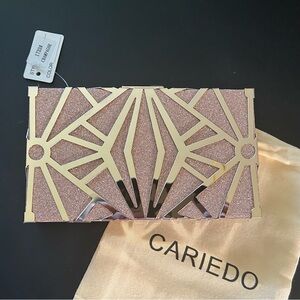 cariedo clutch purse champagne gold NWT crossbody bag with chain